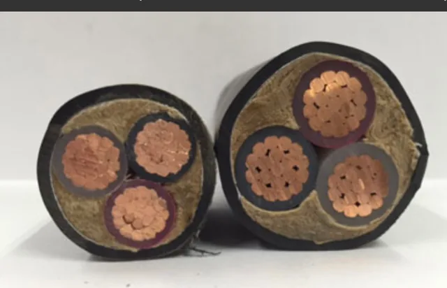 三つの芯線が見える三本線の切断面